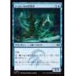 画像1: ティムールの信奉者/Temur Devotee (1)