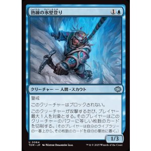 画像: 熟練の氷壁登り/Veteran Ice Climber