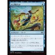 画像1: ひと羽ばたき/Wingspan Stride (1)