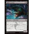 画像1: 装飾クロコダイル/Adorned Crocodile (1)