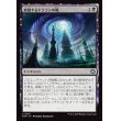 画像1: 腐蝕するドラゴンの嵐/Corroding Dragonstorm (1)