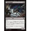 画像1: 三角州の吸血蝿/Delta Bloodflies (1)