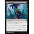 画像1: ドラゴンの餌食/Dragon's Prey (1)