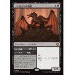 画像1: ゴミあさりの執政/Scavenger Regent (1)