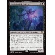 画像1: ぬかるみの執政、シディシ/Sidisi, Regent of the Mire (1)