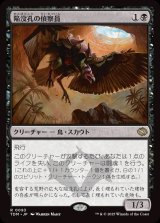 画像: 陥没孔の偵察員/Sinkhole Surveyor
