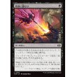 画像1: 捨身に値せり/Worthy Cost (1)
