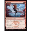 画像1: 平衡の達人/Equilibrium Adept (1)