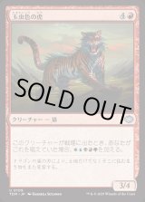 画像: 玉虫色の虎/Iridescent Tiger