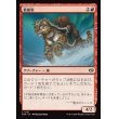 画像1: 救助豹/Rescue Leopard (1)