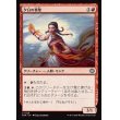 画像1: 夕日の拳聖/Sunset Strikemaster (1)