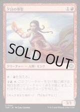 画像: 夕日の拳聖/Sunset Strikemaster