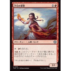 画像: 夕日の拳聖/Sunset Strikemaster