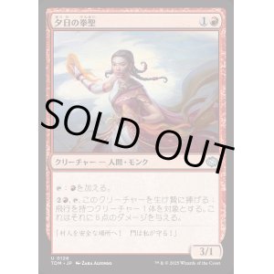 画像: 夕日の拳聖/Sunset Strikemaster
