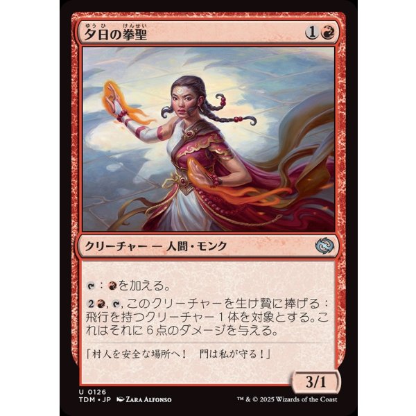 画像1: 夕日の拳聖/Sunset Strikemaster (1)