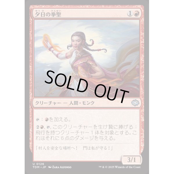 画像1: 夕日の拳聖/Sunset Strikemaster (1)