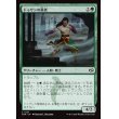 画像1: ドゥサンの勇者/Champion of Dusan (1)