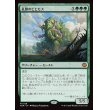 画像1: 孔蹄のビヒモス/Craterhoof Behemoth (1)