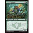 画像1: ドゥシュトの地象師/Dusyut Earthcarver (1)
