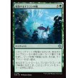画像1: 侵食するドラゴンの嵐/Encroaching Dragonstorm (1)