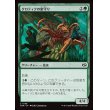 画像1: クロティクの巣守り/Krotiq Nestguard (1)