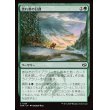 画像1: 流れ者の日課/Roamer's Routine (1)