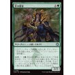 画像1: 牙の賢者/Sage of the Fang (1)