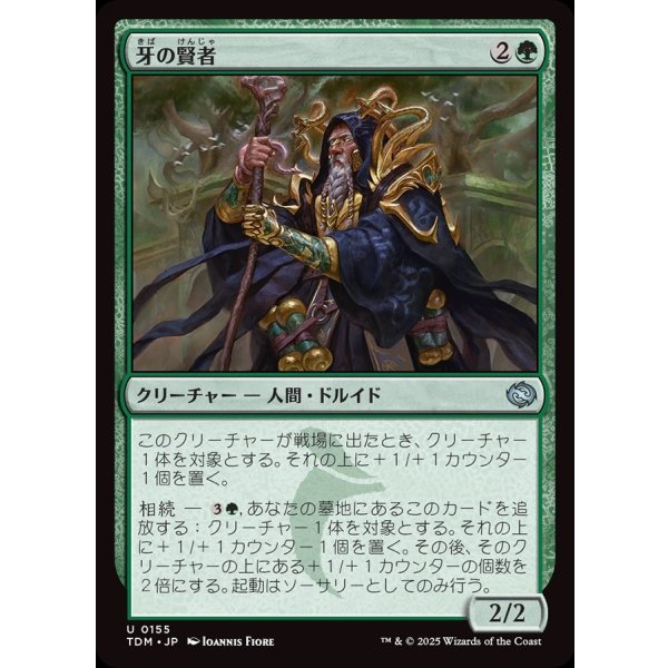画像1: 牙の賢者/Sage of the Fang (1)