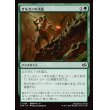 画像1: サルカンの決意/Sarkhan's Resolve (1)