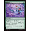 画像1: 蛇皮のヴェール/Snakeskin Veil (1)
