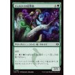 画像1: スゥルタイの信奉者/Sultai Devotee (1)
