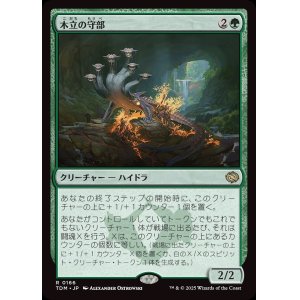 画像: 木立の守部/Warden of the Grove