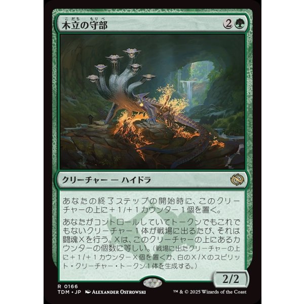 画像1: 木立の守部/Warden of the Grove (1)
