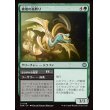 画像1: 破壊の嵐孵り/Disruptive Stormbrood (1)