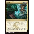 画像1: 龍爪撃/Dragonclaw Strike (1)