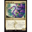 画像1: 牙の番人の使い魔/Fangkeeper's Familiar (1)
