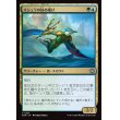 画像1: キシュラの掠め飛び/Kishla Skimmer (1)