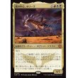 画像1: 嵐の中心、ネリーヴ/Neriv, Heart of the Storm (1)