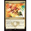 画像1: 永年生/Perennation (1)