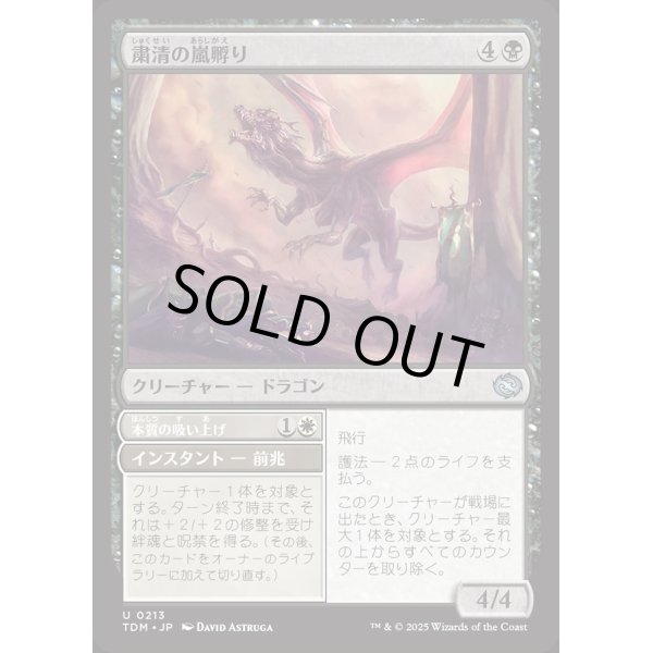 画像1: 粛清の嵐孵り/Purging Stormbrood (1)