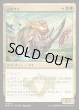 画像: 遊撃サイ/Skirmish Rhino