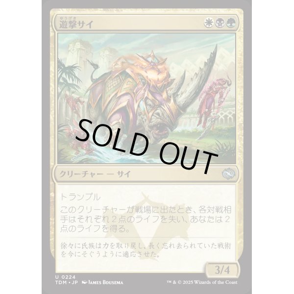 画像1: 遊撃サイ/Skirmish Rhino (1)