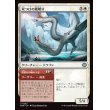 画像1: 双つ口の嵐孵り/Twinmaw Stormbrood (1)