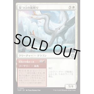 画像: 双つ口の嵐孵り/Twinmaw Stormbrood