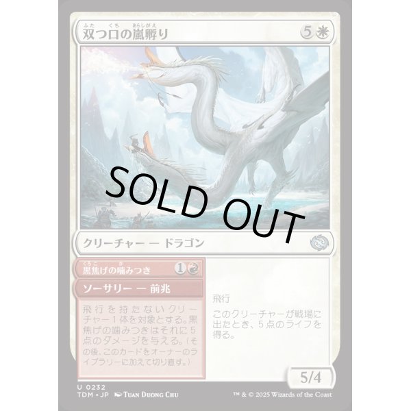 画像1: 双つ口の嵐孵り/Twinmaw Stormbrood (1)