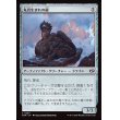 画像1: 丸岩生まれの龍/Boulderborn Dragon (1)