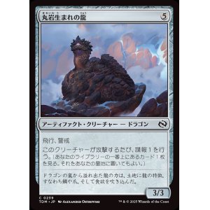 画像: 丸岩生まれの龍/Boulderborn Dragon