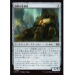 画像1: 路傍の監視者/Watcher of the Wayside (1)