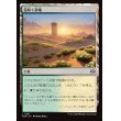 画像1: 花咲く砂地/Blossoming Sands (1)