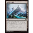 画像1: 進化する未開地/Evolving Wilds (1)